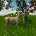 动物狩猎模拟